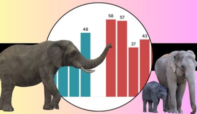 Human Elephant Conflicts