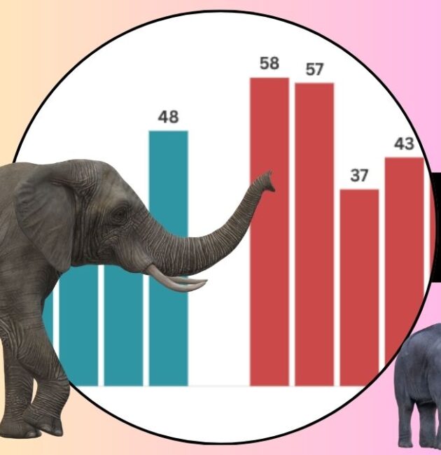 Human Elephant Conflicts