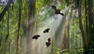 Flying bats