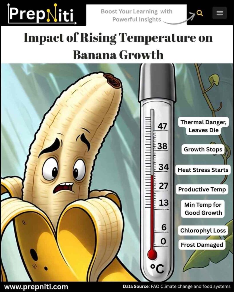 Impact of Iemperature on Banana Growth
