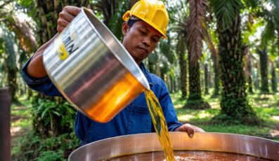 Palm Oil Production