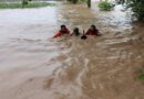 Flood